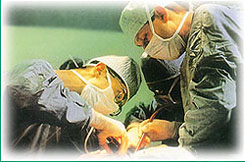 I.V set, B.T/B.D set, S.V set, urinbag, paediatric I.V set, I.V graduated set, suction/urothal catheter, cord clamp, F.T/R.T - alpha surgical